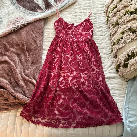 BB Dakota Size 4 Pink Lace Dress